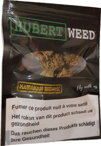 Amnesia (2G/26€)