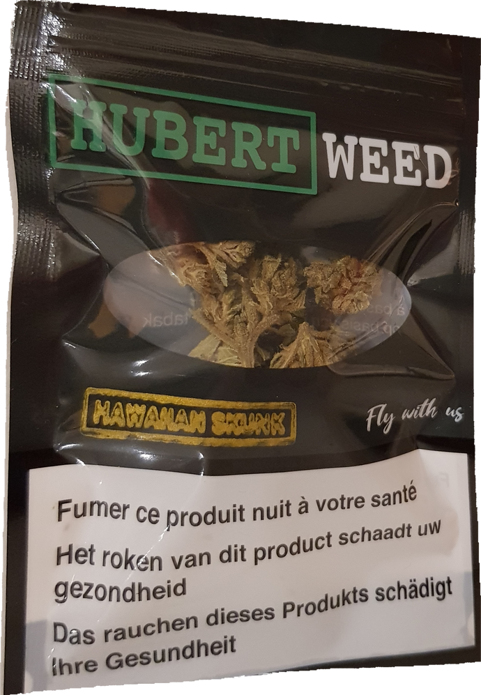 Amnesia (2G/26€)